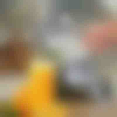 Exprimidor de fruta manual | JUVOPRESS