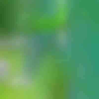 Una herramienta para eliminar las malas hierbas | SPINOUT