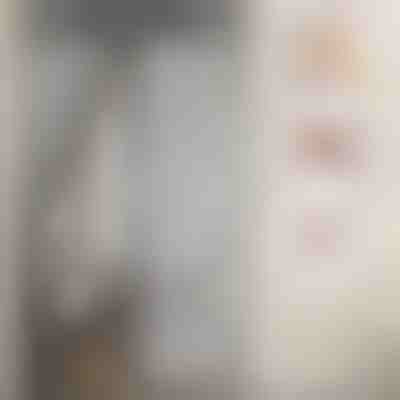 Mosquitera magnética para puertas | INSECTPROTECT