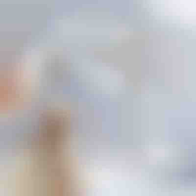 Cepillo vaporizador recargable para mascotas para la muda | GROOMSY