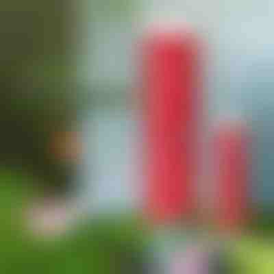 Tableta de liberación lenta de fertilizante orgánico | FERTIGROW