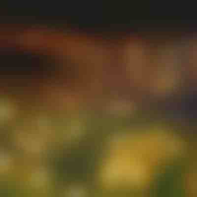 Guirnalda de luces solares con 6 bombillas LED | SOMPEX